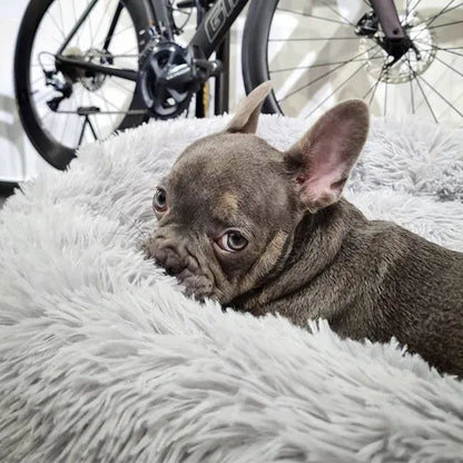 Dallas Collection | Orthopedic Deep Sleep Pet Bed with Cozy Design | Ultimate Comfort for All Pets 13