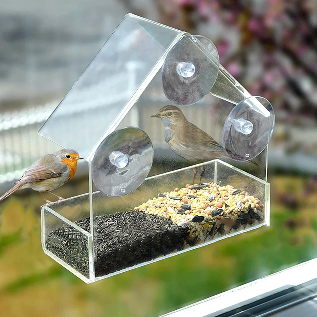 Window Bird Feeder | Transparent Acrylic Design with Secure Suction Cups for Close-Up Birdwatching 3