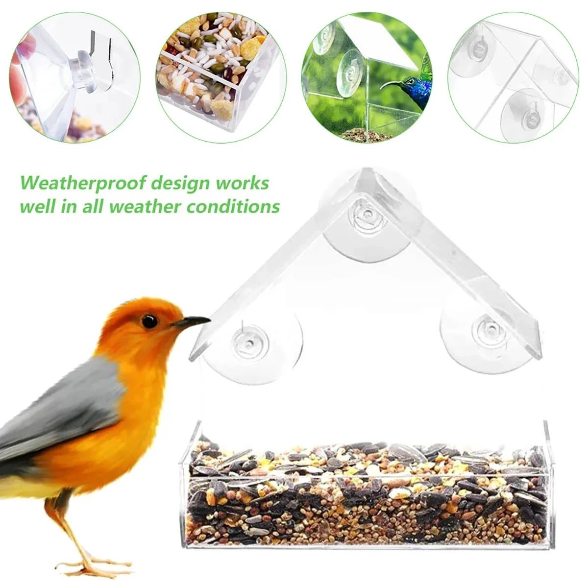 Window Bird Feeder | Transparent Acrylic Design with Secure Suction Cups for Close-Up Birdwatching 4