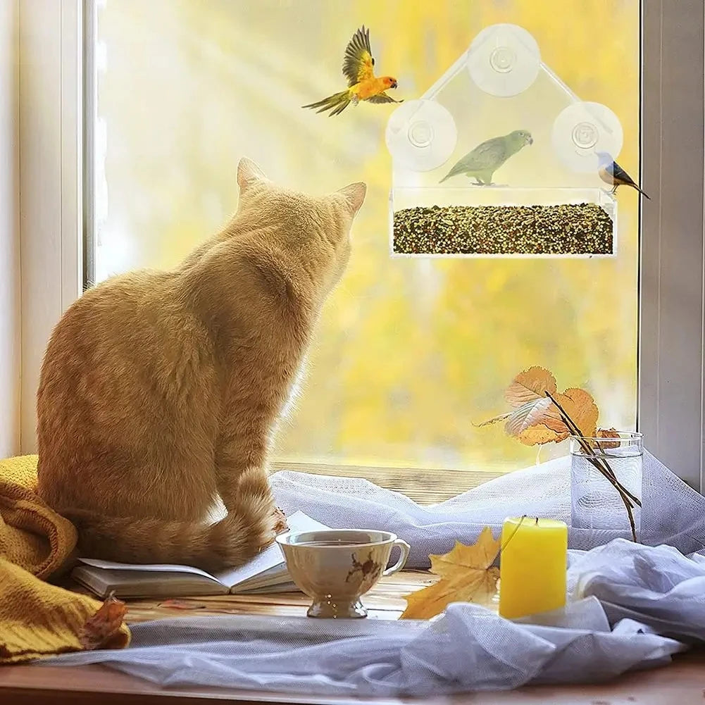 Window Bird Feeder | Transparent Acrylic Design with Secure Suction Cups for Close-Up Birdwatching 6