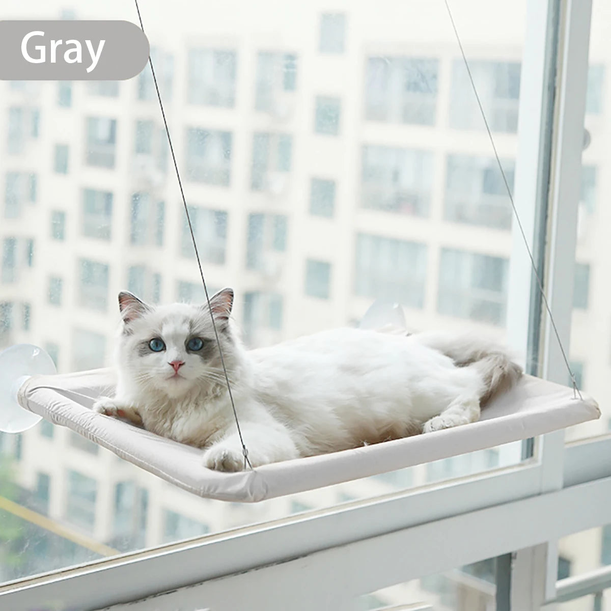 Cozy Cat | Cat Window Hammock with Removable Cover for Sunny Relaxation 4