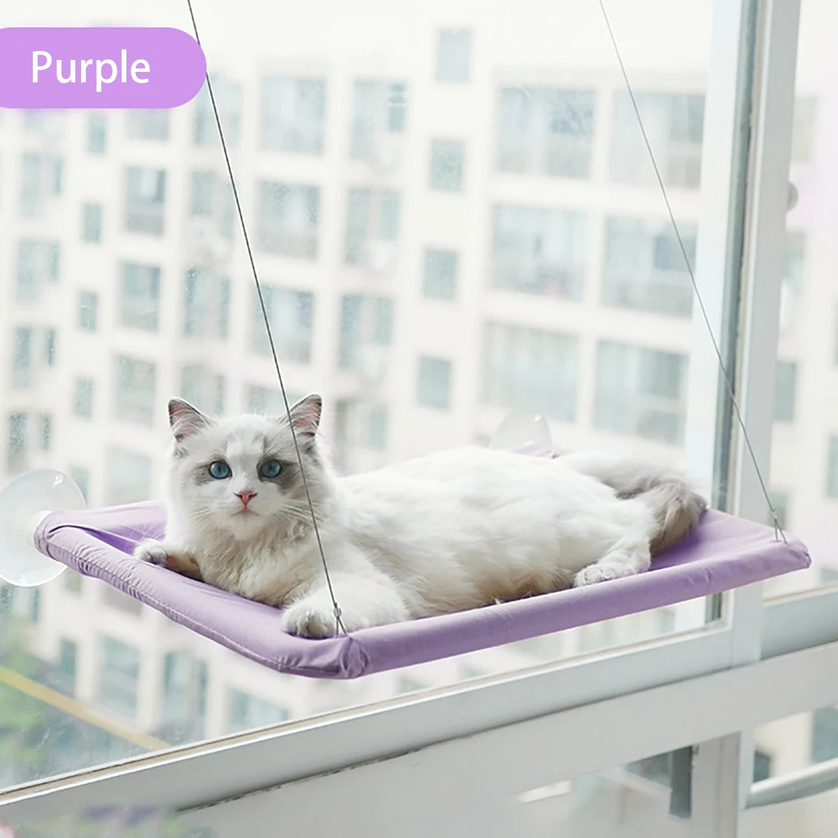 Cozy Cat | Cat Window Hammock with Removable Cover for Sunny Relaxation 7