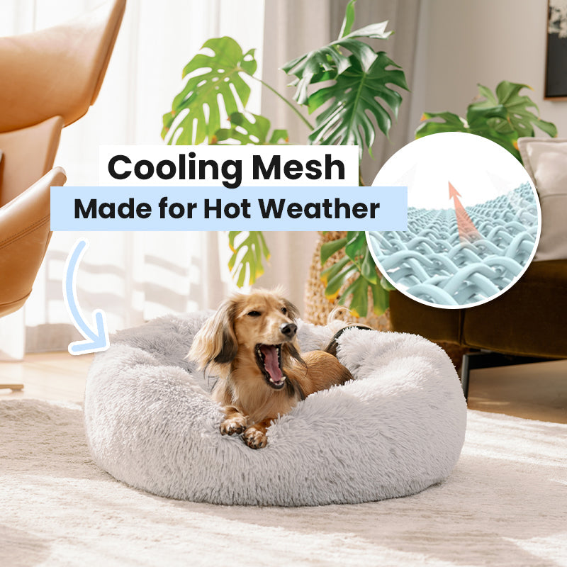 Dallas Collection | Orthopedic Deep Sleep Pet Bed with Cozy Design | Ultimate Comfort for All Pets 5