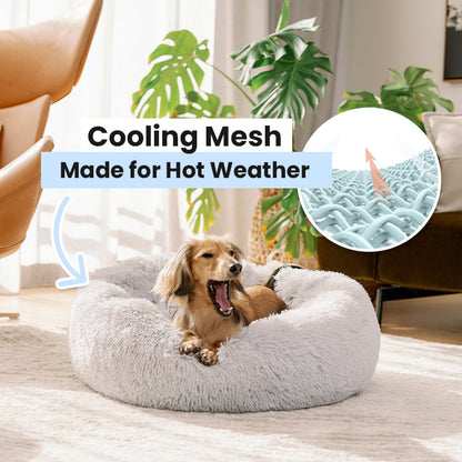 Dallas Collection | Orthopedic Deep Sleep Pet Bed with Cozy Design | Ultimate Comfort for All Pets 5